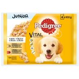 Pedigree junior piletina i ćretina hrana za pse 4x100g | Eponuda.com