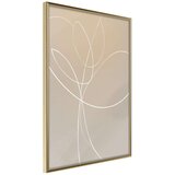  Poster - White Tulip 40x60 Cijene
