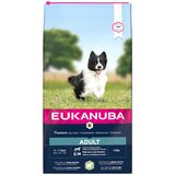 Eukanuba Adult Small / Medium Breed jagnjetina & riž - Varčno pakiranje: 2 x 12 kg | shoptok.hr