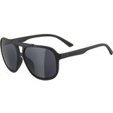 Alpina snazz, muške sunčane naočare, siva 0-8684 Cene