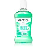 Tołpa Dentica Extra Fresh vodica za usta za dugotrajni svježi dah 500 ml | shoptok.hr