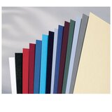 Korice ZA SPIRALNI UVEZ 250G KARTON RELJEFNE A4 PK25 GBC CN040070 BIJELE | shoptok.hr