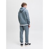 Jack & Jones Muški duks Jjesoho Noos, Sivi | ePonuda.com
