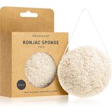 BrushArt Home Salon Konjac sponge nježna eksfolijacijska spužvica za lice Natural 4 g | shoptok.hr