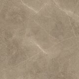  Elegant Taupe 60x60 Cene