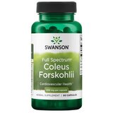 Swanson Indijska kopriva – Forskolin 400 mg (60 kapsul) | Shoptok.si