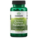 Swanson Indijska kopriva – Forskolin 400 mg (60 kapsula) | shoptok.hr