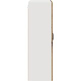  Zidni stakleni ormarić Staro drvo 80 x 31 x 100 cm | shoptok.hr