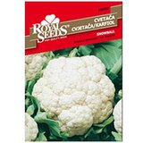  Karfiol Snježna Grudva Royal Seeds | Eponuda.ba