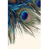 Conceptum Hypnose tepih (140x220) Hmnt568 | ePonuda.com