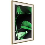  Poster - Calm After the Storm 20x30 | shoptok.hr
