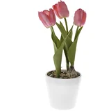 HOME Veštačke lale u keramičkoj saksiji 30 cm roze