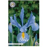  Cvjetne lukovice Iris Blue Magic (Ljubičasta, Botanički opis: Iris) Cijene