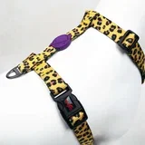 Šape i brkovi Am za pse Leopard, šareni
