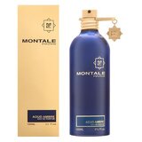 Montale Paris Aoud Ambre EDP 100 ml | shoptok.hr