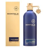 Montale Paris Aoud Ambre parfumirana voda unisex 100 ml | Shoptok.si