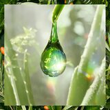 Herbal essences 90% Natural Origin Repair balzam za lase Argan Oil of Morocco 275 ml | Shoptok.si