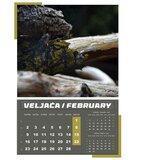  KALENDAR "IGRE PRIRODE 2026" 13 LISTOVA, SPIRALA | Shoptok.si