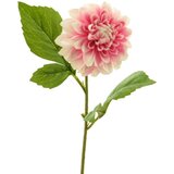 Dekordom cvet DAHLIA 50cm 13266-7 - Pink - NNT Cene