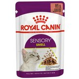 Royal Canin mokra hrana za mačke sensory smell gravy 85 g Cene