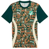  Muški Nogometni Dres Kratkih Rukava Puma Cote d'Ivore Prematch Ss Zelena | shoptok.hr