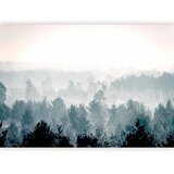  Foto tapeta - Winter Forest 100x70 Standard | shoptok.hr