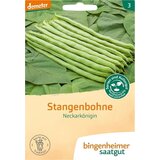  Visok fižol "Neckarkönigin" | Shoptok.si
