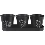 Kovinski cvetlični lonci v kompletu 3 ks za zelišča ø 11 cm Black –