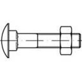 Toolcraft TO-5448297 plosnati okrugli vijak M6 70 mm kvadratni DIN 603 mjed 100 St. | shoptok.hr