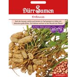 Dürr Samen Arašid Cene