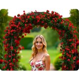 Plonos vrtna pergola luk 240 cm PL-990 | shoptok.hr