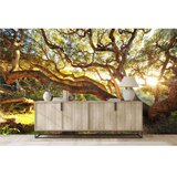 WALLXPERT Dekorativna nalepnica za zid MDK 00116 100 x 100 | Eponuda.com