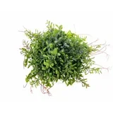 veštačka zelena lopta trava 25 cm 681008