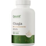 OSTROVIT chaga 60 kapsula – imunitet i antioksidativna podrška | ePonuda.com