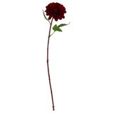  Rezano cvijeće dalia premium, 54 cm | shoptok.hr
