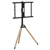 Gembird TVS-75ST-01 u