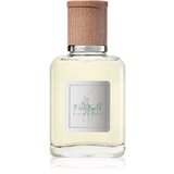 Polo Ralph Lauren Polo Earth toaletna voda za ponovno polnjenje 100 ml unisex cene