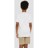 Dickies Mapleton T-shirt white | Shoptok.si