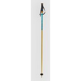 Völkl Phantastick 16mm Poles 2025 Ski Poles yellow | Shoptok.si