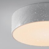 MAYTONI ZUNANJA STROPNA SVETILKA 22/5,8 cm | Shoptok.si