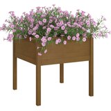  Vrtna sadilica smeđa boja meda 70x70x70 cm od masivne borovine | Eponuda.com
