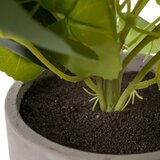 Ixia Umetna rastlina (višina 39 cm) Leaves – | Shoptok.si