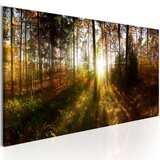  Slika - Beautiful Forest 135x45 | shoptok.hr