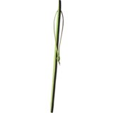 DREAMTOYS LoparČek Radiant Glow In The Dark Green | Shoptok.si