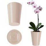 KADAX Pokrov za cvetlični lonček za orhideje, plastične rastline, kremne barve, 13 cm, (5000346179) | Shoptok.si