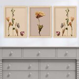 Wallity Set uramljenih slika 3NTC_4540429, 3 Dela | ePonuda.com