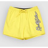 Quiksilver Everyday Malibu Volley 15 Boardshorts acacia | Shoptok.si