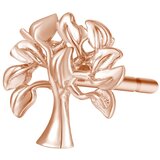 ROSATO RZO028 | Shoptok.si