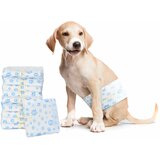  Jednokratna pelena za muške pse 30 pcs Bijeli XS | Eponuda.com