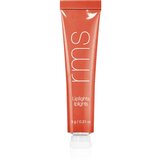 RMS Beauty Liplights Cream Kremni sijaj za ustnice odtenek Bisou 9 g | Shoptok.si